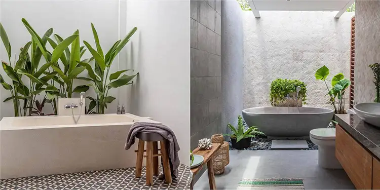 sử dụng cây xanh phong thủy